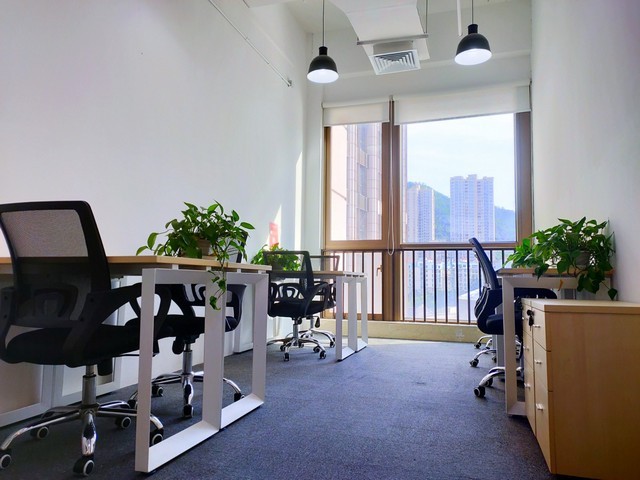 上海棉花绒面料生产商家